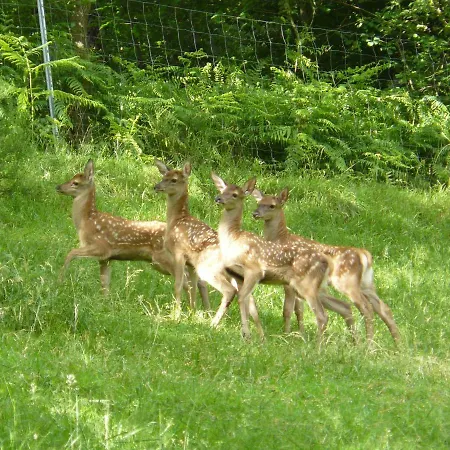 Appartement Haus Sigmund