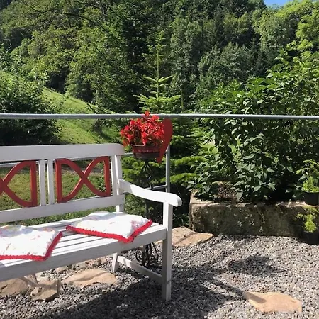 Haus Sigmund Apartment Oberharmersbach