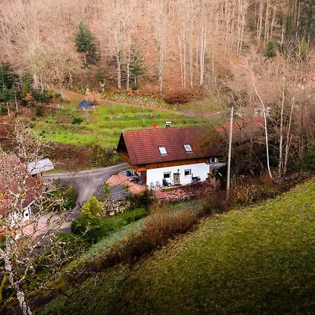 Apartman Haus Sigmund Oberharmersbach