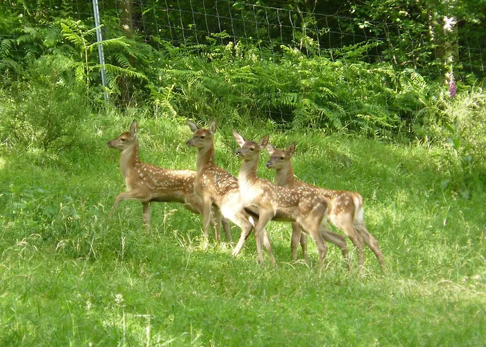 Apartament Haus Sigmund *